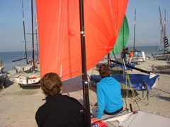 DYR 2008